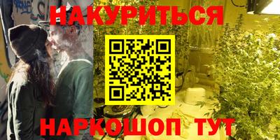 крисы Кунгур