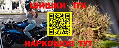 крисы Кунгур