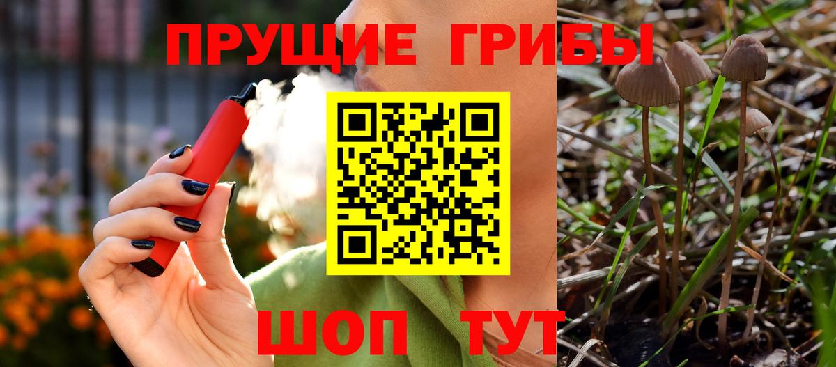 Изобильный  Псилоцибиновые грибы Psilocybe  Галлюциногенные грибы Cubensis  Вход с VPN 